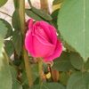 user23272138161740