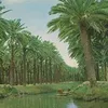 oo__20_1