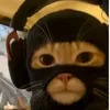 cat_twin1