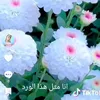 flrdus_home72