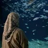 wwsarly3788