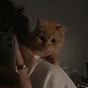 vibkvdu5