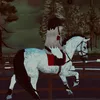 ilary_horse