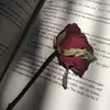 ljl_jil