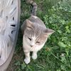 derya_sekin
