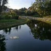 polkamalosolka