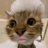 itzme.hyl