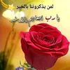 85_noor