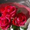 flower62982