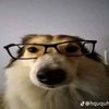 amina_29121
