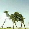 user1906592312411