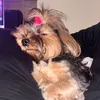 narinha_59