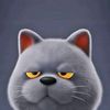 rinxx___