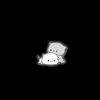 qils__naaa