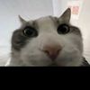 8g2870