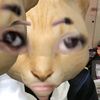 scared.catt