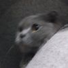 user_sua0918