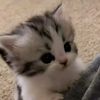 nayla.moniker