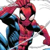 spidermark30