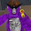 gaitervr