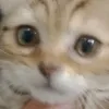 tunna.kiti