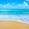 ocean_breeze_vibes