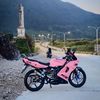 ZX_Rachell