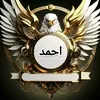 user3031293361167