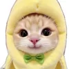 yu.chyn