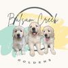 balsamcreekgoldens