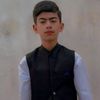 flashsaim0.2