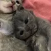 _.ctehotme