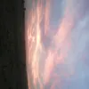 user48817313702217