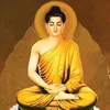 nguyenthuanphuc