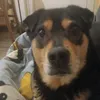 sascha.keil2