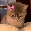lurvepink1
