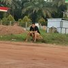 shantya.budi