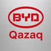 BYD Jayly