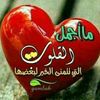 user8334774158397