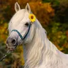 fatima_zahera07