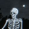 trex_rt0