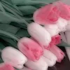 mimi.zizi76