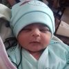 saif8134