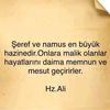 vefa.grnts
