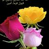 ramzan.ali8117