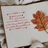 m.umarfarooq835
