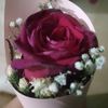 marlenisecheverria_28