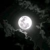 moon97578