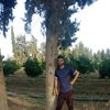 user524052361