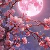 nadeen_063